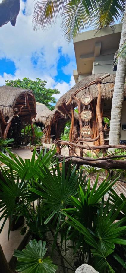 Cabanas Playa Condesa 툴룸 외부 사진
